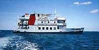 The Floating Reef-Tel, unser Tauchboot