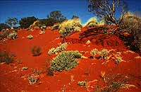 Der Dunkelrote Sand des RED-CENTERs
