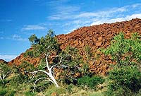 Typische Gesteinsformation bei Dampier, WA