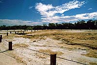Dalhousie Hot Springs, SA