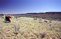 Petermann Hills, NT