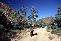 Track zum Gosses Bluff, NT