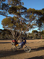 Campsite am Balladonia RH, WA